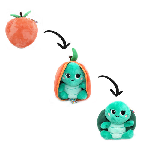 Tortue pêche